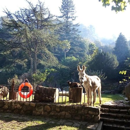 Quinta Do Castanheiro Hotel Sintra Buitenkant foto