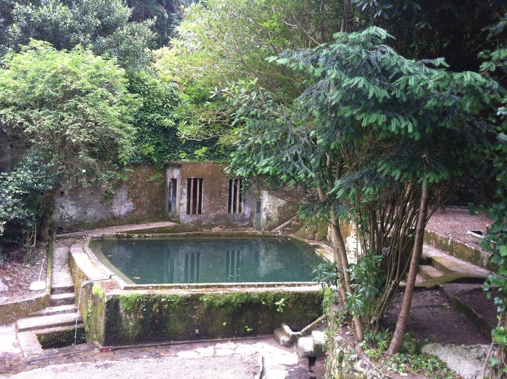 Quinta Do Castanheiro Hotel Sintra Buitenkant foto