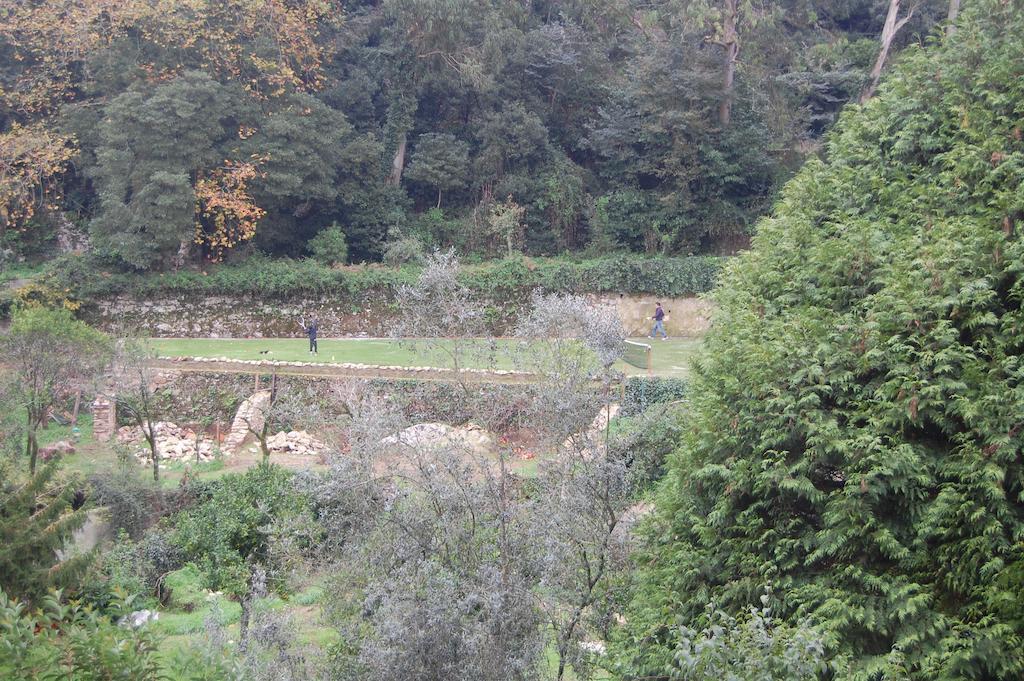 Quinta Do Castanheiro Hotel Sintra Buitenkant foto