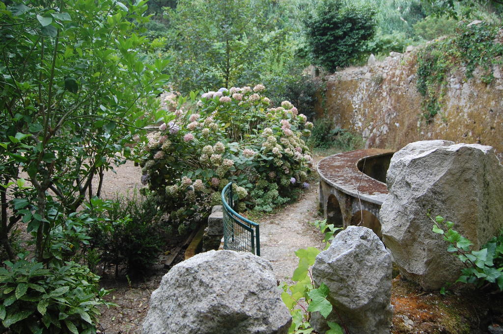 Quinta Do Castanheiro Hotel Sintra Buitenkant foto