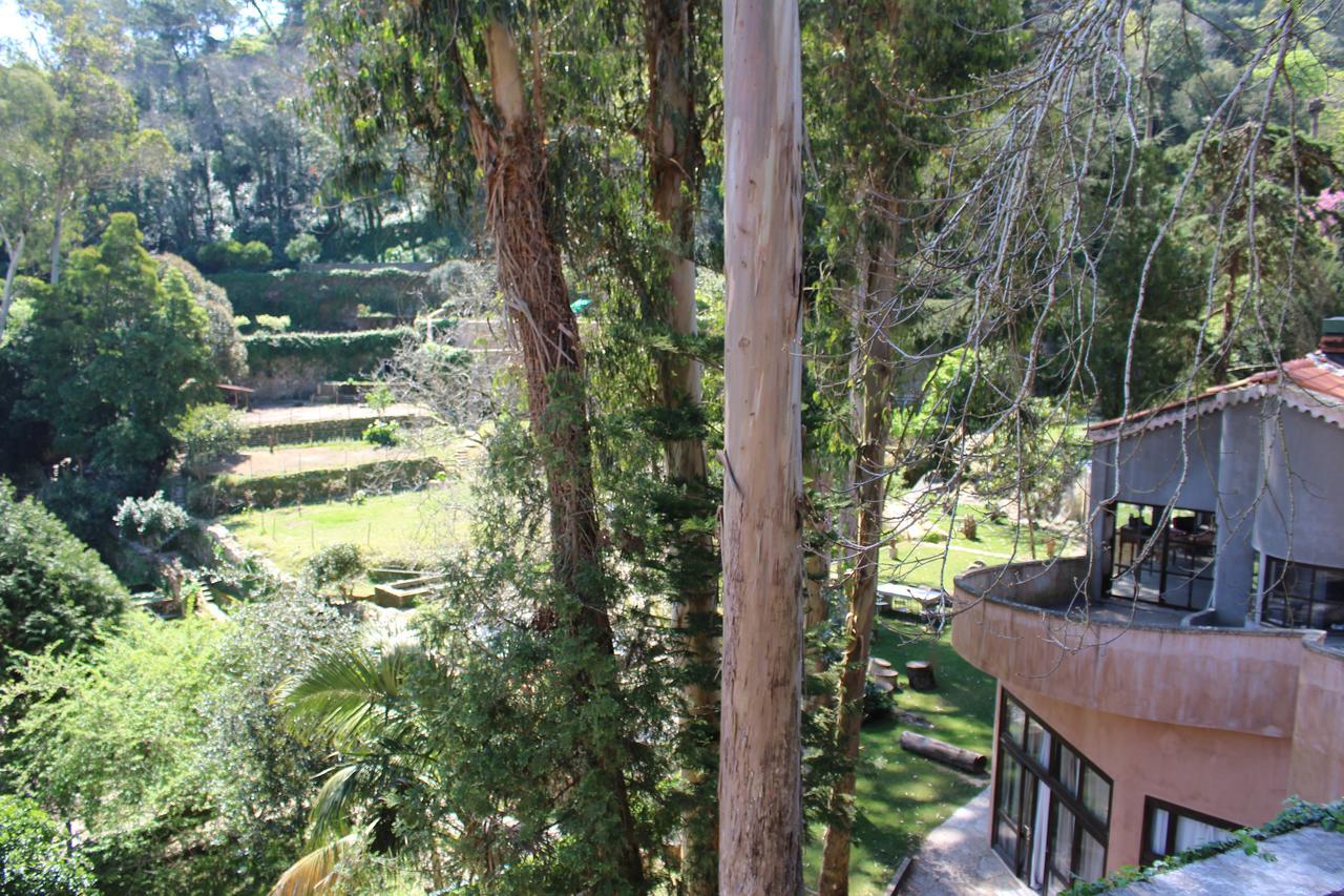Quinta Do Castanheiro Hotel Sintra Buitenkant foto