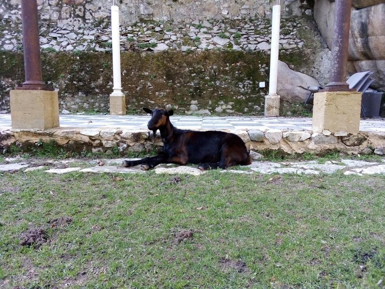 Quinta Do Castanheiro Hotel Sintra Buitenkant foto